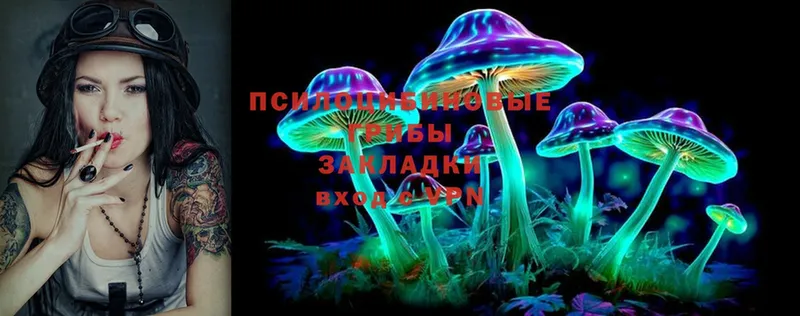 Галлюциногенные грибы Psilocybine cubensis  Камень-на-Оби 